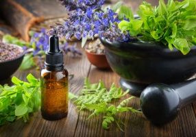 Dropper bottle of essential oil or infusion, mortar of bilberry twigs and healthy bugleherb flowers, fern leaves. Bowls of medicinal herbs and old book on background. Alternative medicine.