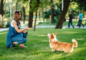 Portrait,Of,Woman,With,Dog,Welsh,Corgi,Pembroke,In,Dog
