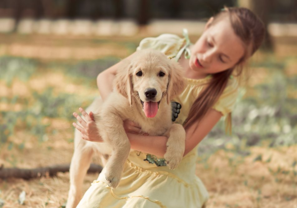 Retriever,Pup,Lovely,Scene,Cute,Young,Teen,Girl,Enjoying,Posing