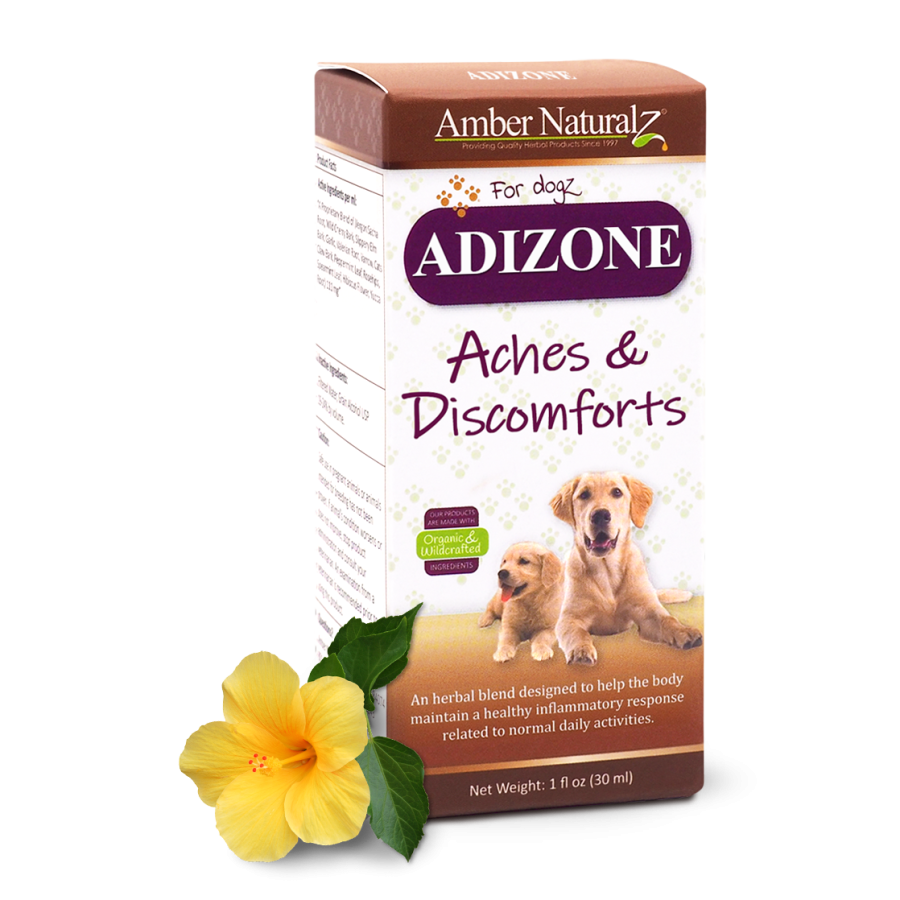 Adizone Dog