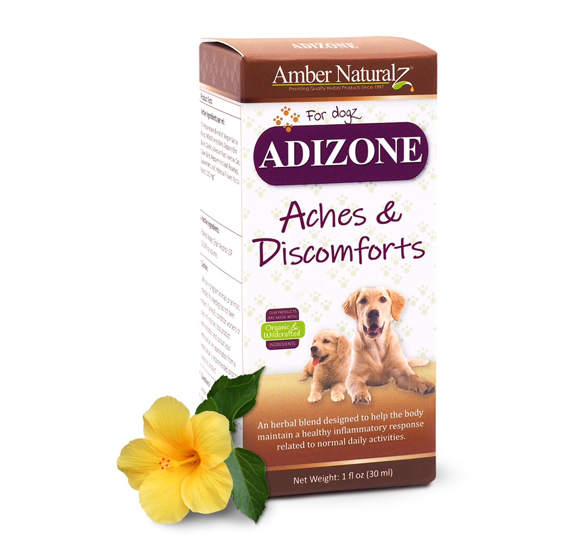 Adizone Dog