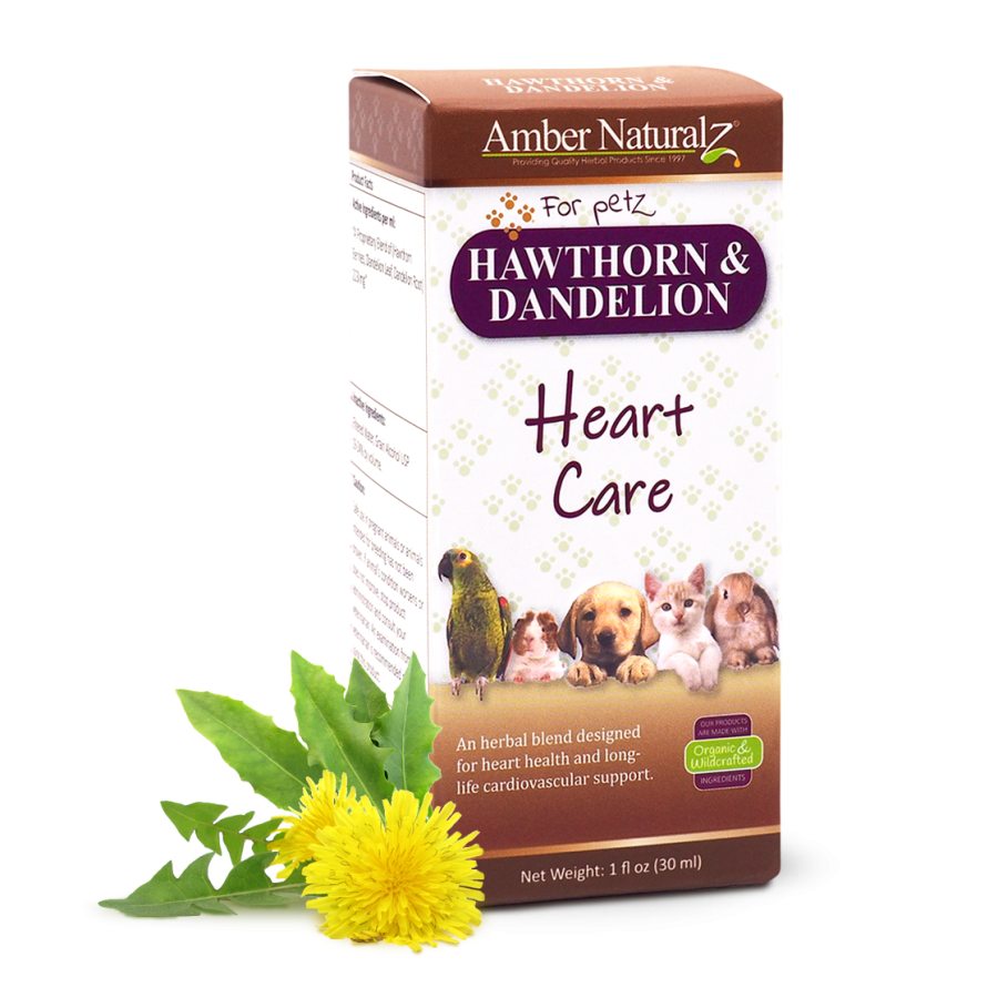 Hawthorn & Dandelion