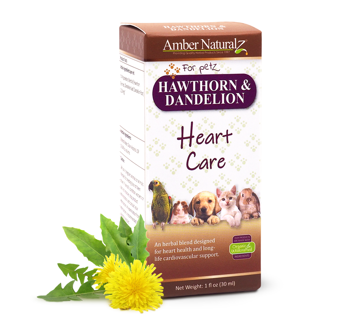 Hawthorn & Dandelion