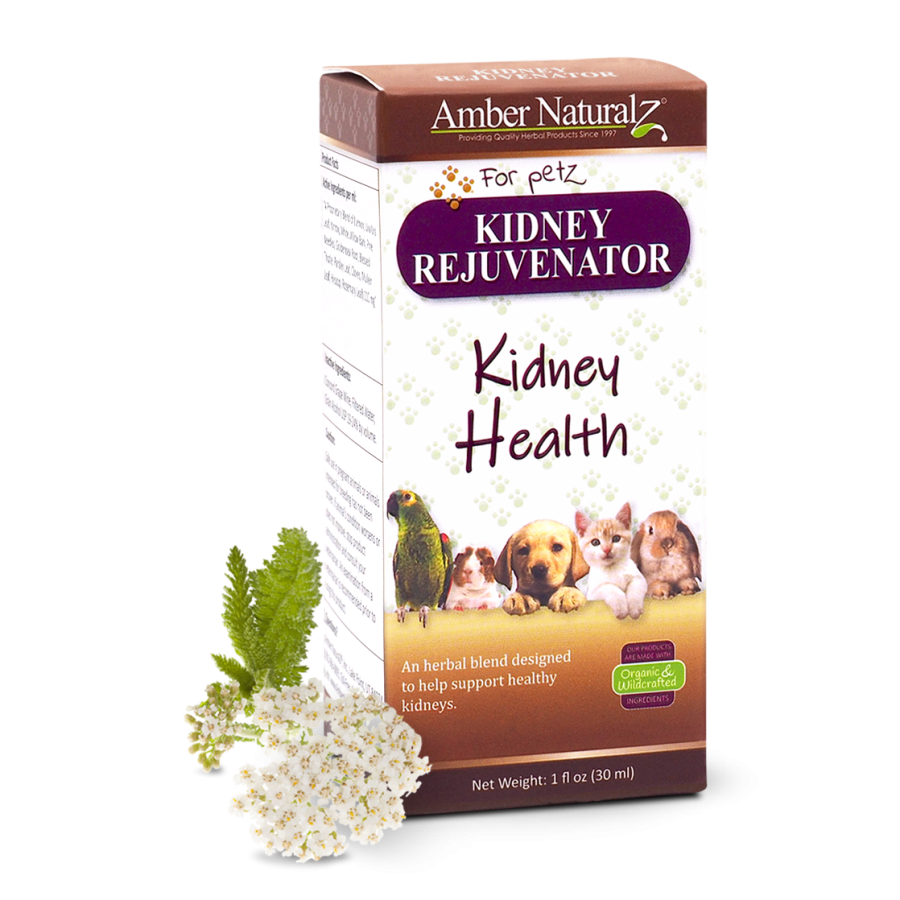 Kidney Rejuvenator