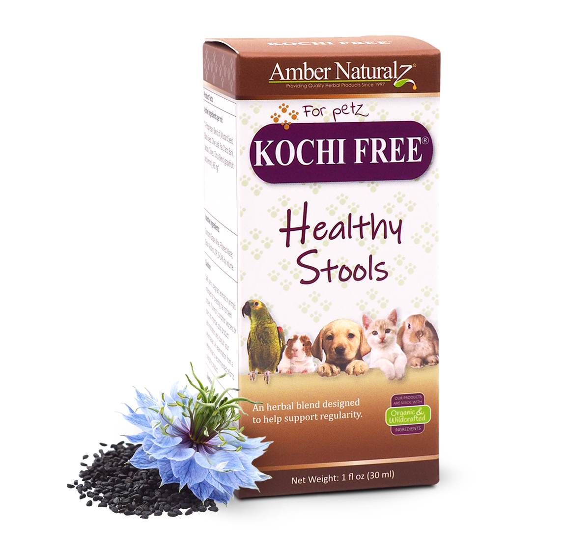 Kochi Free