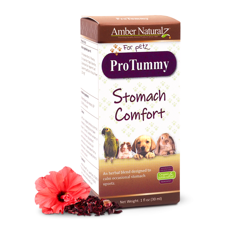 ProTummy