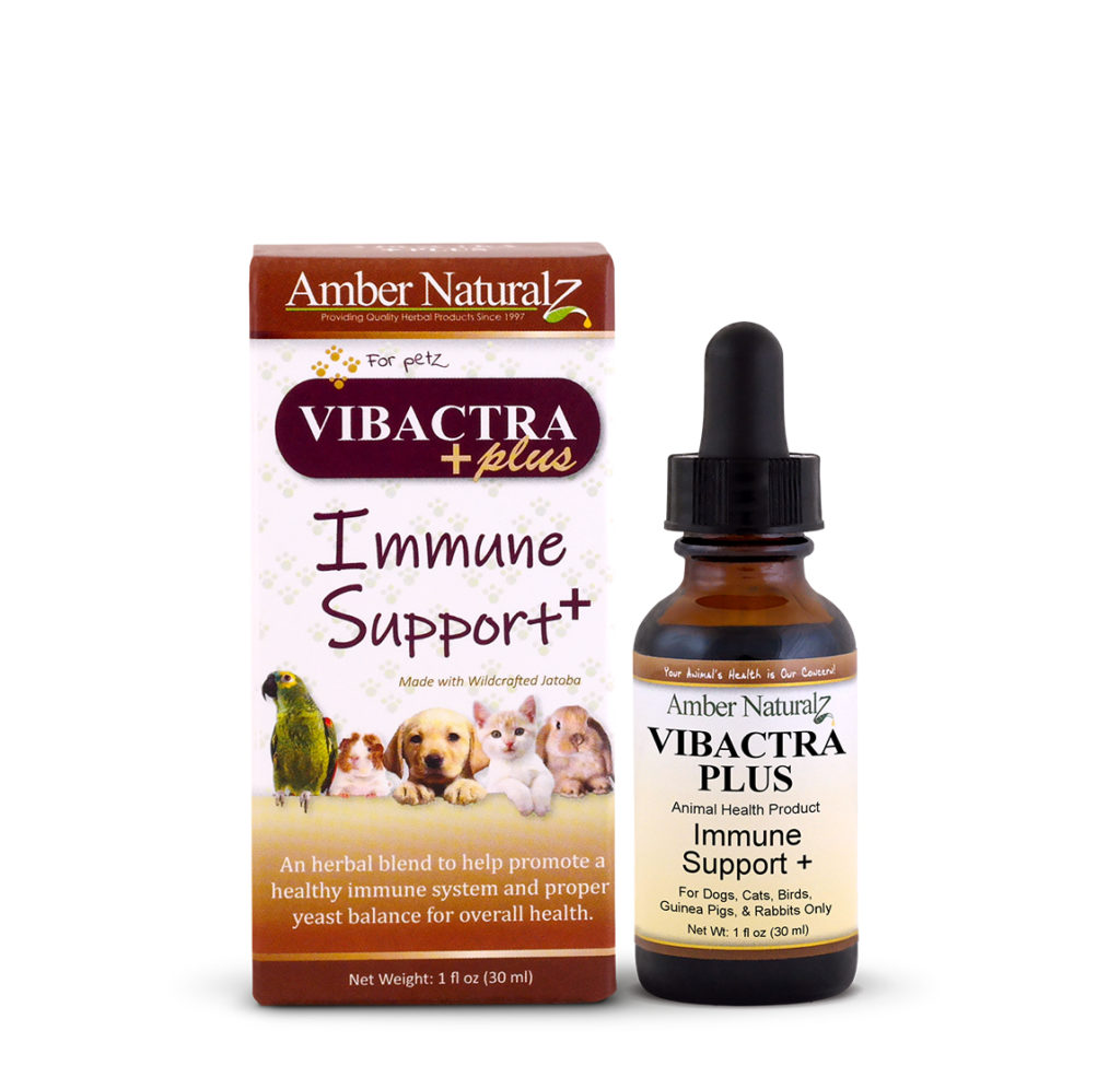 Amazon Vibactra Plus