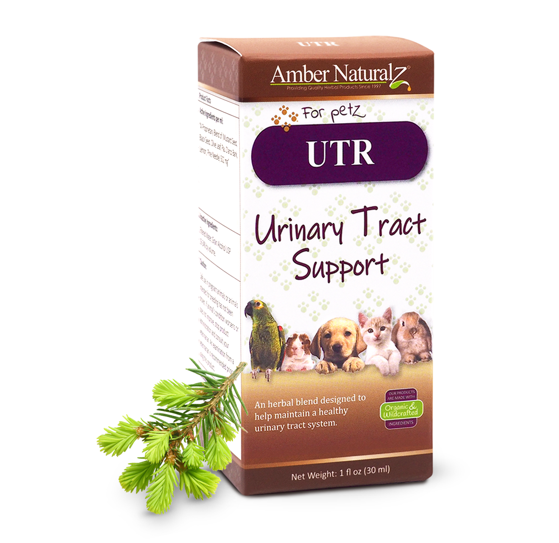 UTR