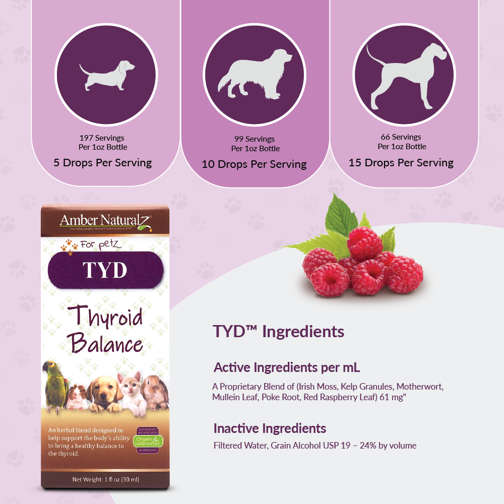 TYD - Image 3