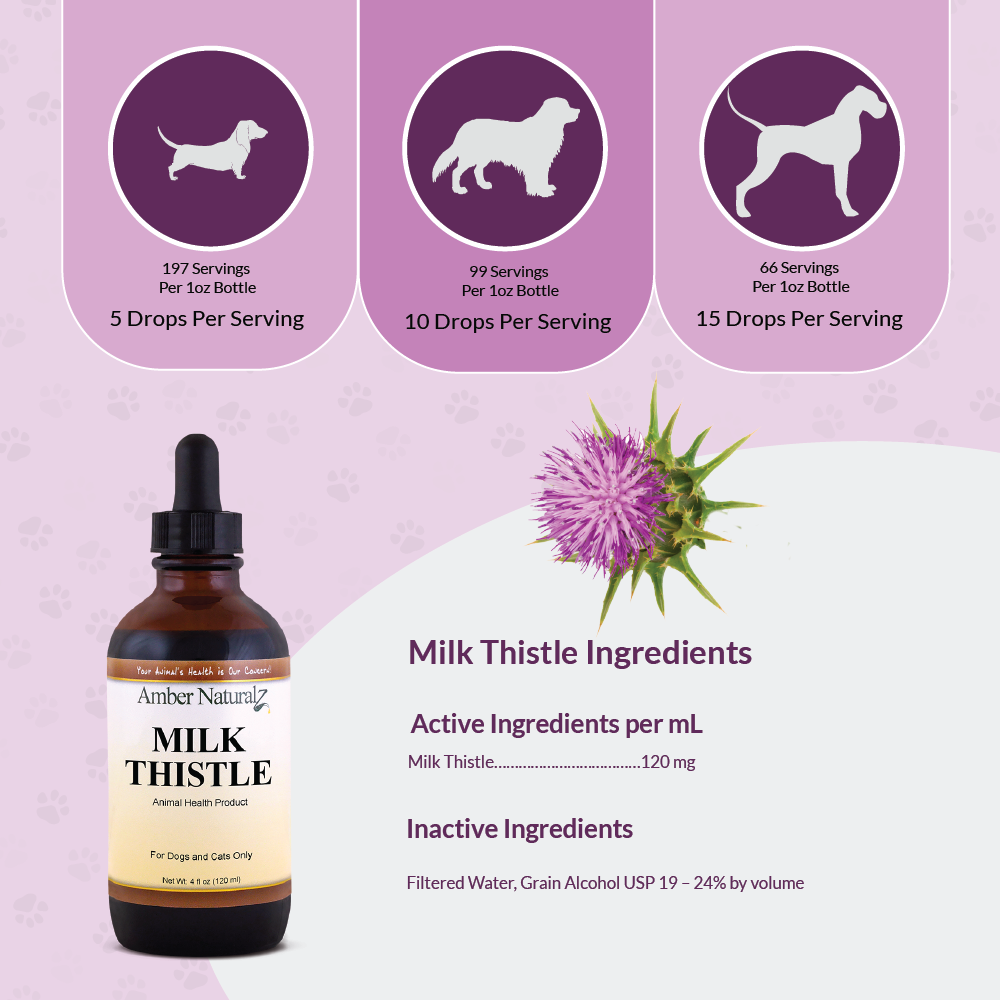 Milk Thistle - Image 4