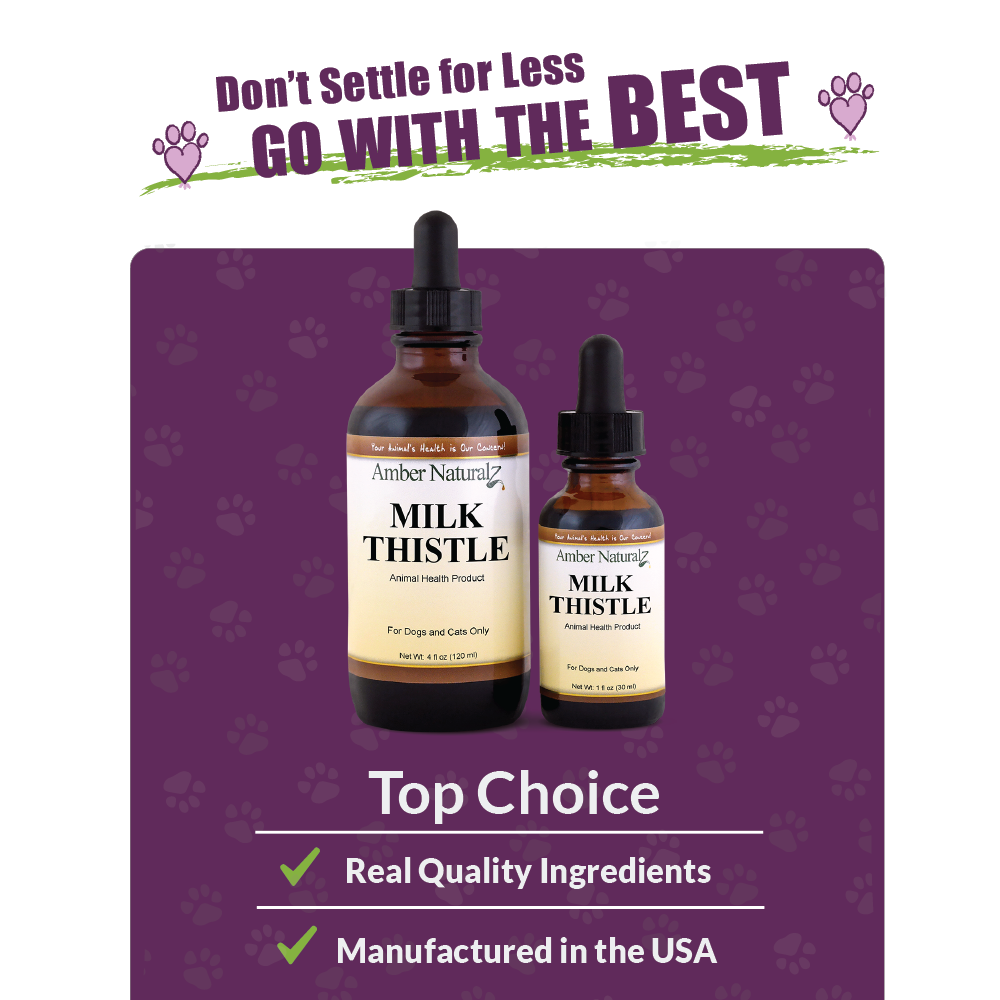 Milk Thistle - Image 5