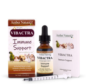 Amazon Vibactra