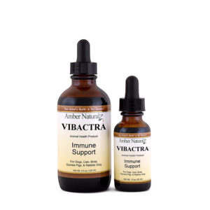 Amazon Vibactra