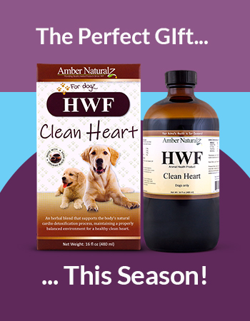 HWF mini banner Phone