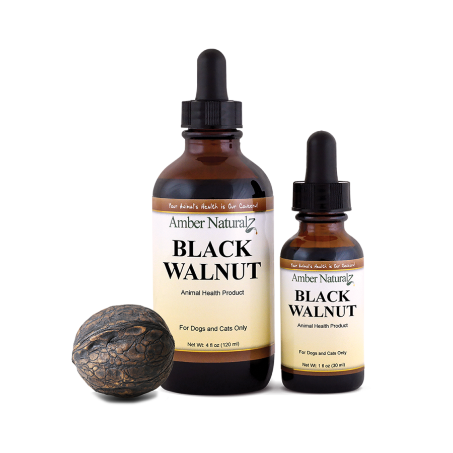 Black Walnut