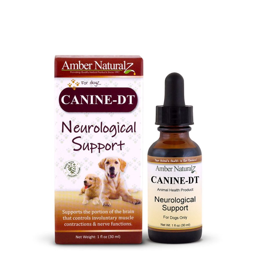 Canine-DT