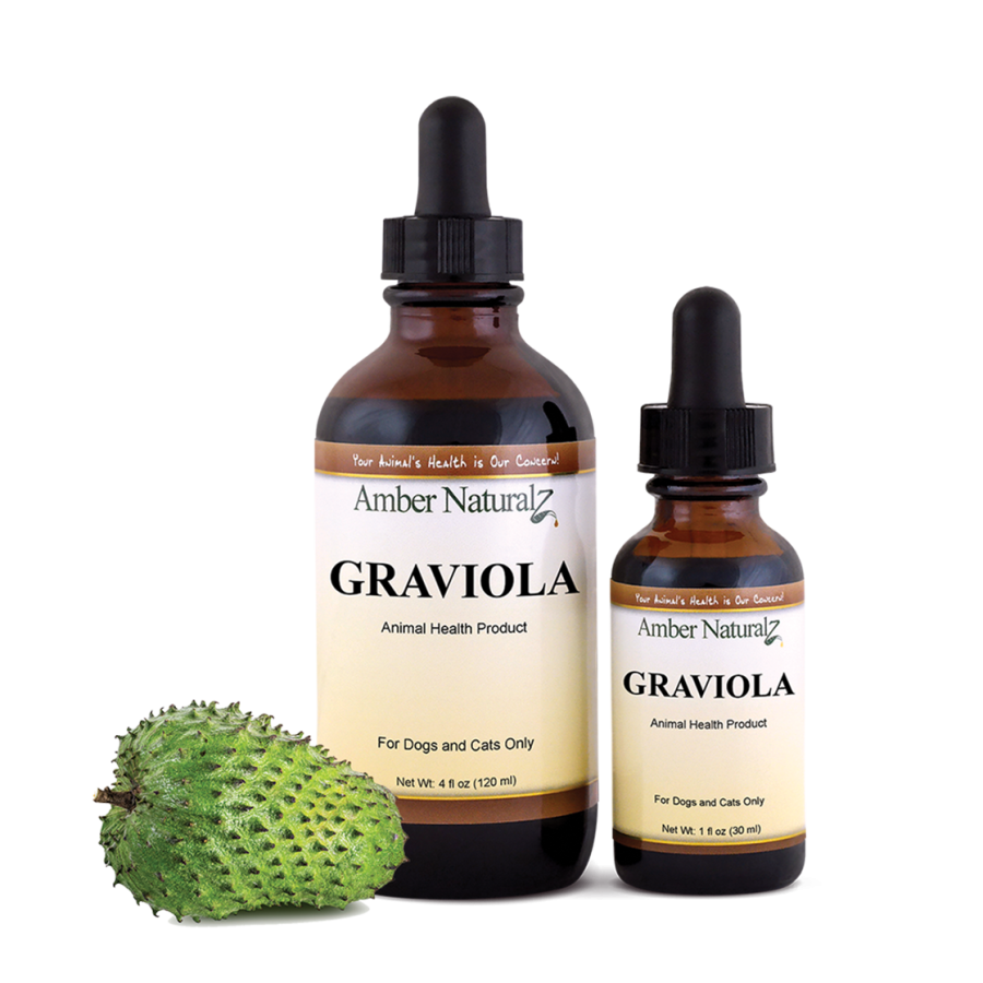 Graviola